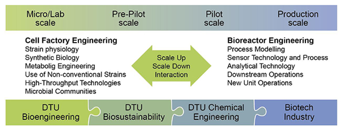 Concept of collaboration and between Bioengineering, Chemical Engineering, Biosustainability, Biotech Industry in the FBM Initiative